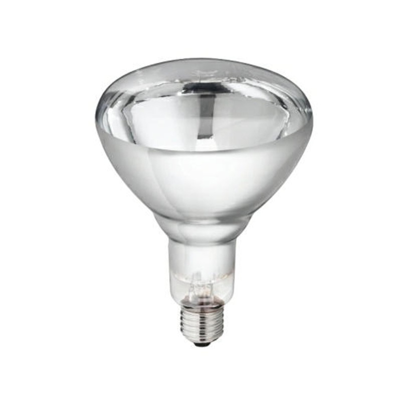 Philips warmtelamp 250 watt wit