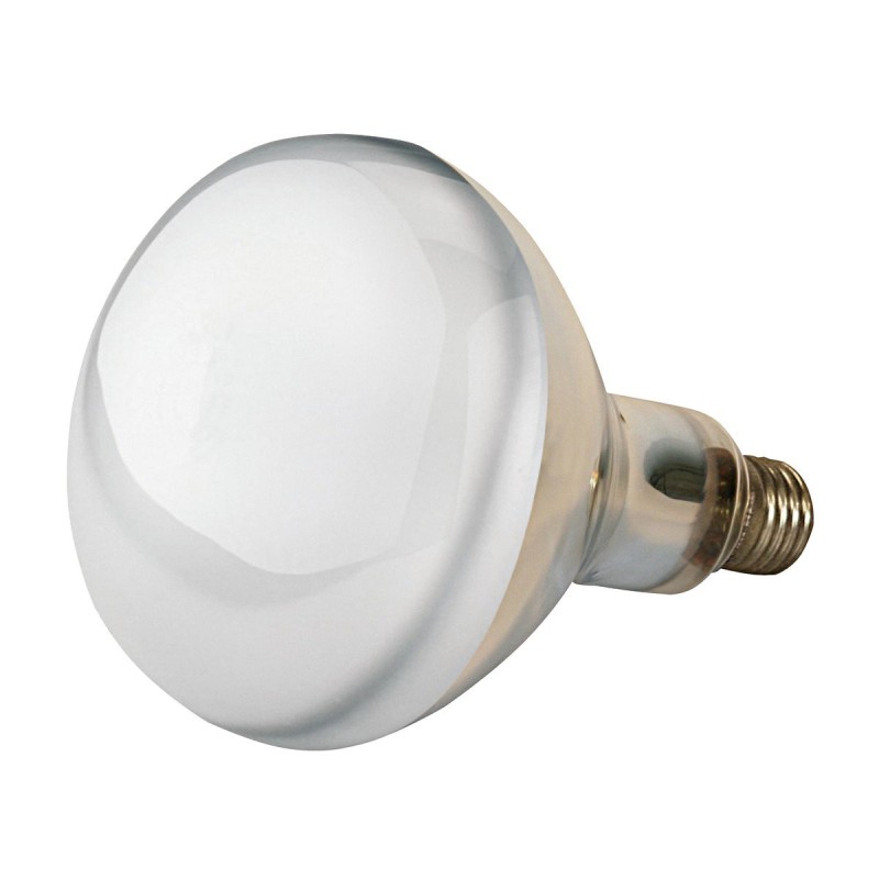 Kerbl warmtelamp 150 watt wit Kerbl warmtelamp 150 watt wit
