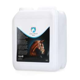 Excellent Horse Shield...