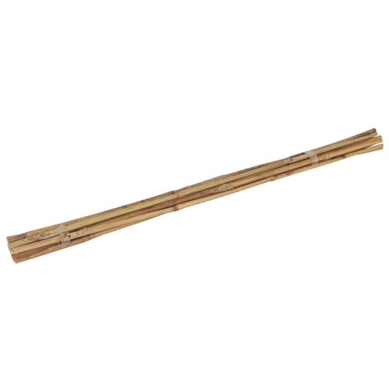 Bamboestok 60cm 10 stuks Bamboestok 60cm 10 stuks