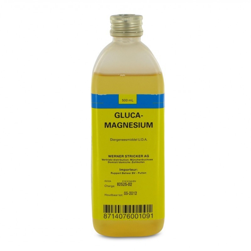 Gluca magnesium infuus 500ml