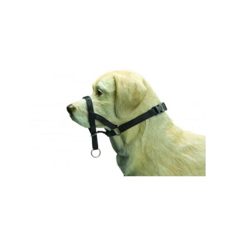 BZ Correctiehalsband voor honden zwart maat XL
