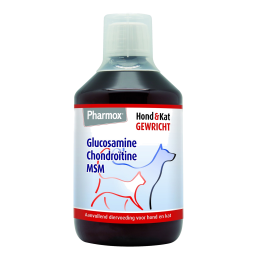 Glucosamine Chrondroitine MSM 500ml