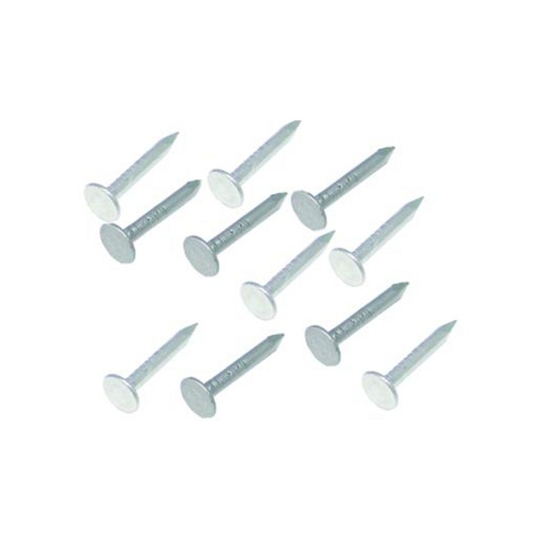 Asfaltnagels verzinkt 3.0x25 5 kg Asfaltnagels verzinkt 3.0x25 5 kg