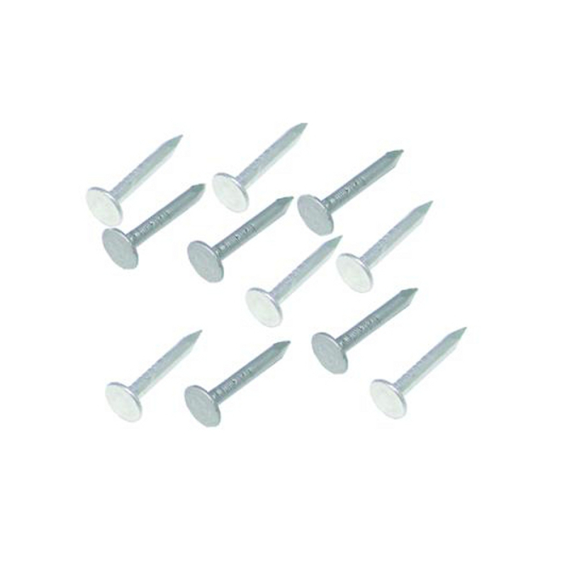 Asfaltnagels verzinkt 3.0x40 5 kg Asfaltnagels verzinkt 3.0x40 5 kg