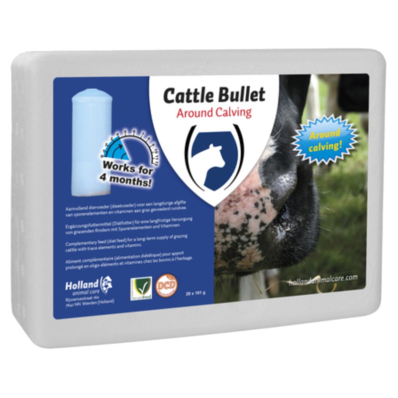 Cattle Bullet Droogstandbolus