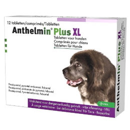 Anthelmin Plus hond XL 12 tabletten