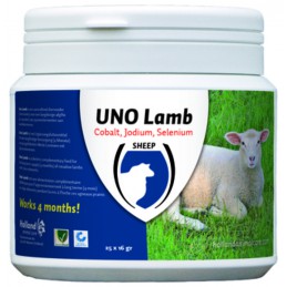 Uno Lamb Bolus 25st