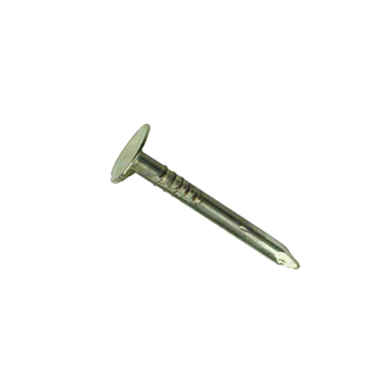 Homefix asfaltnagel PK gegalvaniseerd 3 x 20 mm 90 gram Homefix asfaltnagel PK gegalvaniseerd 3 x 20 mm 90 gram