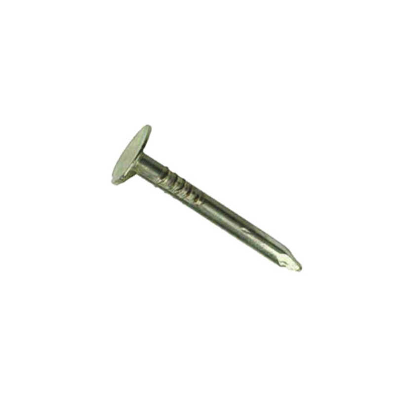 Homefix asfaltnagel PK gegalvaniseerd 3 x 25 mm 100 gram Homefix asfaltnagel PK gegalvaniseerd 3 x 25 mm 100 gram