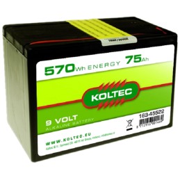 Batterij 9 Volt - 570 Wh 75 Ah Alkaline
