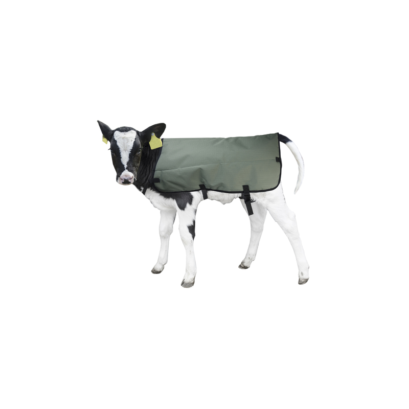 Kalverdek Calf Coat 80 cm Kalverdek Calf Coat 80 cm