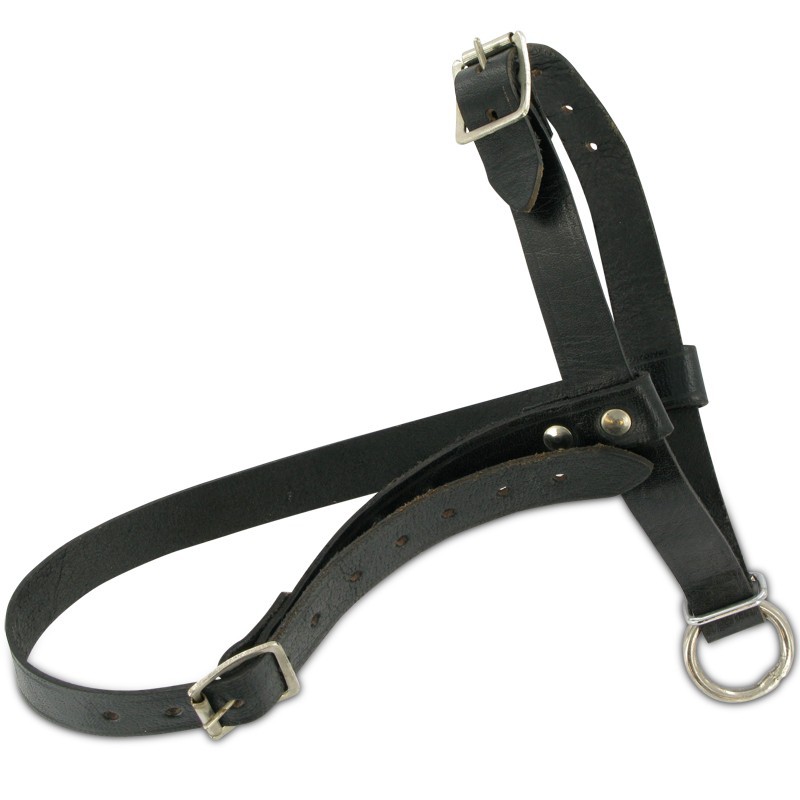 Lammeren halster zwart leder Lammeren halster zwart leder