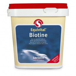 Biotin Equivital 1 kg