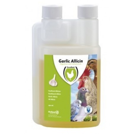 Garlic Allicin Vloeibaar 250 ml