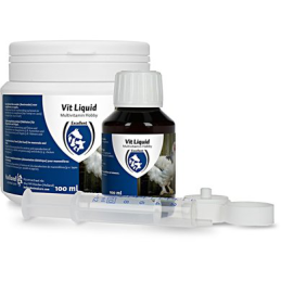 Vit Liquid Multivitamine 100 ml