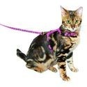 Kattenriemen & accessoires online bestellen