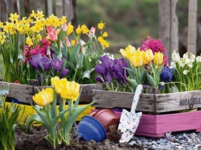 Maak je tuin klaar met 7 handige tips