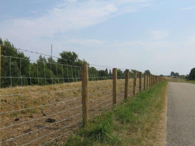Schapengaas afrastering voor de weide en tuin 